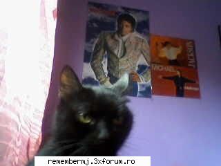 :rotfl: si ce  a zis? :rotfl: fotografia favorita