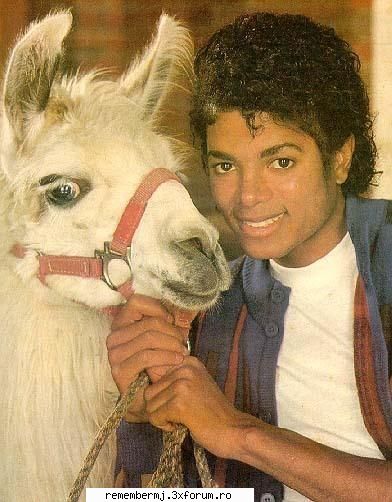 Louie - sa fie americana! - ♪Mike`s pets♪
